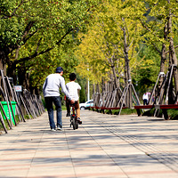 һ��Сʱѧ�������г�