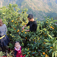 ��Ϲ�ˣ���ɽ�������������ۣ�