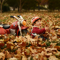 ��Ҷ�еı�����----�ʼұ�����ͯ��Ӱ��Ʒ