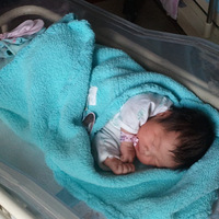 ����Ҫ�������Ӿ��ֲ���+椱���