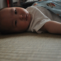 ���������գ�������������ô�����Ƽ�~~~