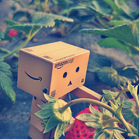ʱ⣨ֻӰ