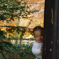 �������һ�ա�����