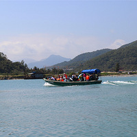 �������һ�ա����괺�ں�����