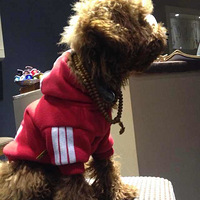 Ѱ�ҡ���ա������һ����С���ѻ��Ӧ��ġ�����