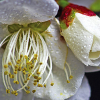 ÷�ϰ��㣨΢�ࣩ