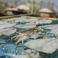 �������ʯ̲