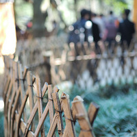 �����ɣ�������