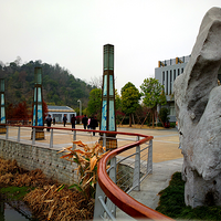 ������~~��������Ƭ��