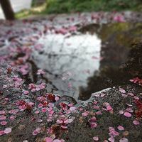 140226����㳡����