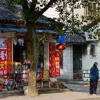 �ų�����