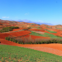 �ƹ�����