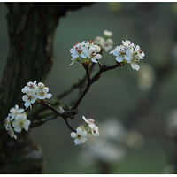 �󾣷����滨