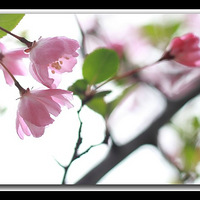 ����еľ�ϲ