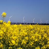 ��������ɫ