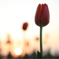 3.23��������֮��