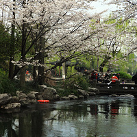 ����̫����