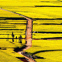 �Ͳ˻�����ʼ������