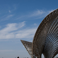 ��ˮ������