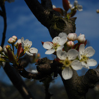 �������°ٻ���  ����ʮ�±�����