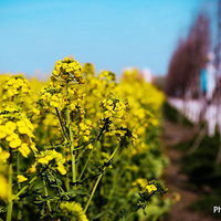 У԰��һ�ǵ��Ͳ˻������ں��ݣ�