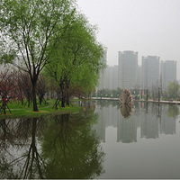 ��������㳡