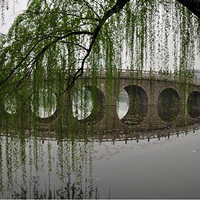 ��������㳡