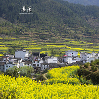 �Ͳ˻��Ƶڶ���