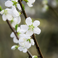 �Ͳ˻��Ƶ�����