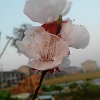 ���е�ֲ�꣬�����ĵ�