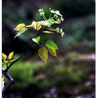 �滨����֮��