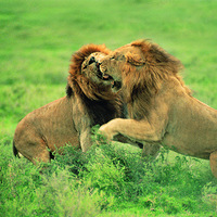 ������̬����Ƭѽ.....̨�ݷ��3D��ӡ��