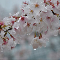 ��֪ʲô�����˷���