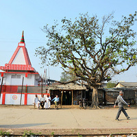 �Ჴ��ѧϰ��Ӱ֮�ã�����