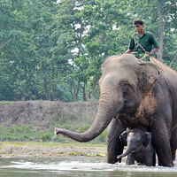 �Ჴ��ѧϰ��Ӱ֮�ã��壩