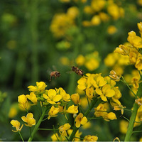 �μǷ������ٺ�������