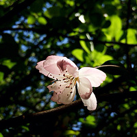 ���죬�����ļ��ڣ���������ˮ��