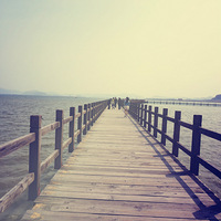 ����---������ʪ�ع�԰