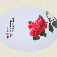 Ψ��ɽ��ƫ�;ã��̴��ַ���֦�졣