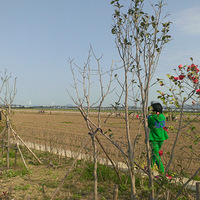 ԭ�����������ĵ��ˣ����ڻ��ڴ������������