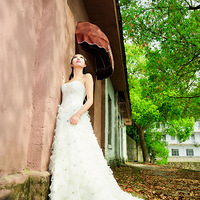 ���ĳ��������