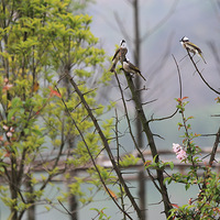 ����޴���