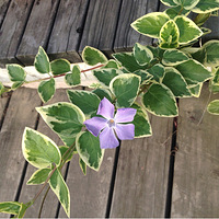 �ֻ������еĴ���