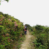 ��ɽ�ž�-����������͸��һ�ֱ�����