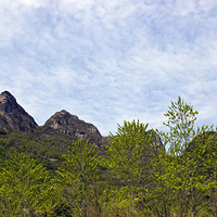 ̤������