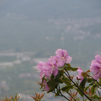 �x�y�z�{�|�}�~������ɽ��֮����������������Ͳ�������羰����