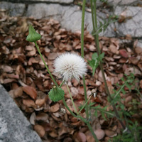 �������ǣ�������ע�����