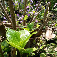 ���Ѿ������ˣ����������벻��