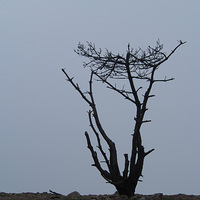 ����֮��