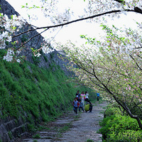 ����ӣ��